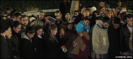 Israeli Casualties Particularly Hard for Visiting American Students